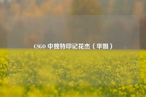 CSGO 中独特印记花杰(华姐)