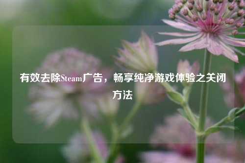 有效去除Steam广告,畅享纯净游戏体验之关闭方法
