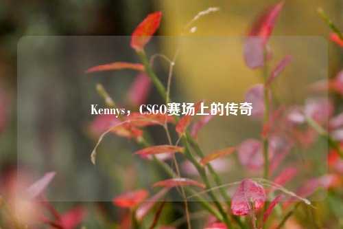 Kennys，CSGO赛场上的传奇