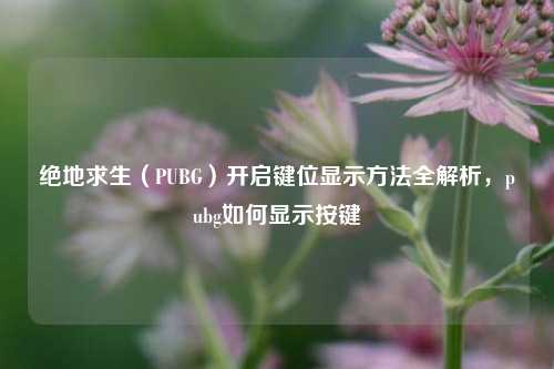 绝地求生（PUBG）开启键位显示方法全解析，pubg如何显示按键