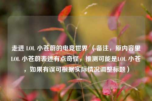 走进 LOL 小苍蔚的电竞世界 (备注,原内容里LOL 小苍蔚表述有点奇怪,推测可能是LOL 小苍,如果有误可根据实际情况调整标题)