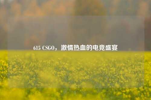 615 CSGO，激情热血的电竞盛宴