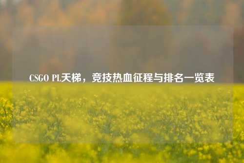CSGO PL天梯,竞技热血征程与排名一览表