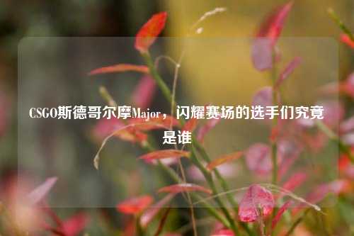 CSGO斯德哥尔摩Major，闪耀赛场的选手们究竟是谁