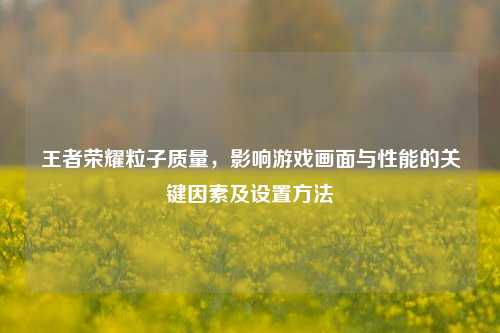 王者荣耀粒子质量，影响游戏画面与性能的关键因素及设置方法