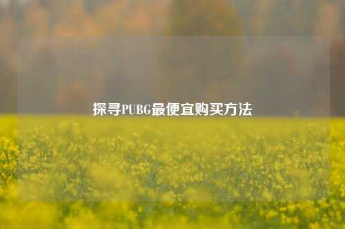 探寻PUBG最便宜购买方法