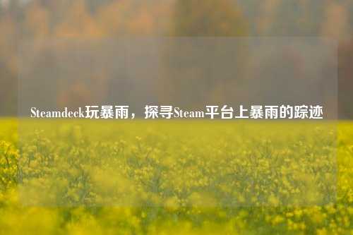 Steamdeck玩暴雨，探寻Steam平台上暴雨的踪迹
