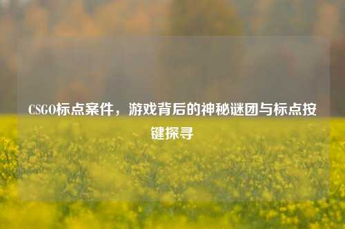CSGO标点案件，游戏背后的神秘谜团与标点按键探寻