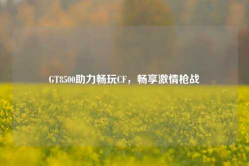 GT8500助力畅玩CF,畅享激情枪战