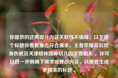 你提供的这两部分内容关联性不强呀，以下这个标题你看看是否符合需求，王者荣耀背后纹身伤疤及天津格林国际幼儿园学费相关 。你可以进一步明确下需求或修改内容，以便我生成更精准的标题 。