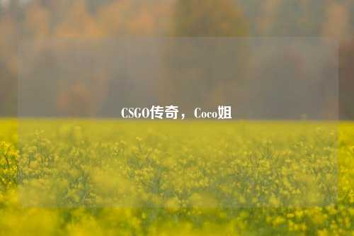 CSGO传奇,Coco姐