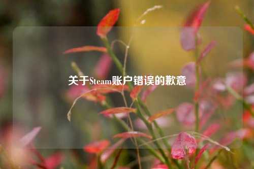 关于Steam账户错误的歉意