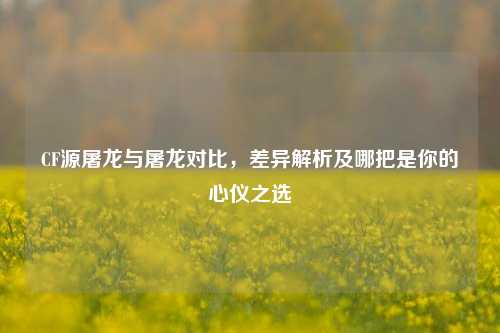 CF源屠龙与屠龙对比，差异解析及哪把是你的心仪之选