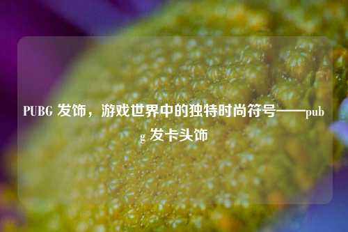 PUBG 发饰，游戏世界中的独特时尚符号——pubg 发卡头饰