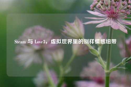 Steam 与 Love3，虚拟世界里的别样情感纽带