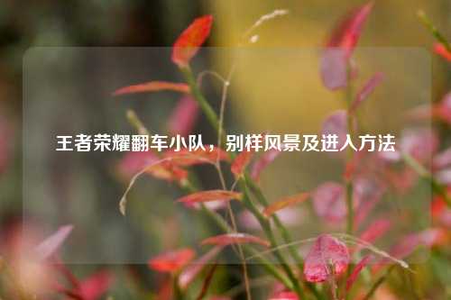 王者荣耀翻车小队,别样风景及进入方法