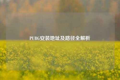 PUBG安装地址及路径全解析