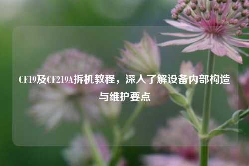CF19及CF219A拆机教程,深入了解设备内部构造与维护要点