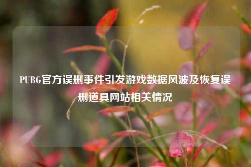 PUBG官方误删事件引发游戏数据风波及恢复误删道具网站相关情况
