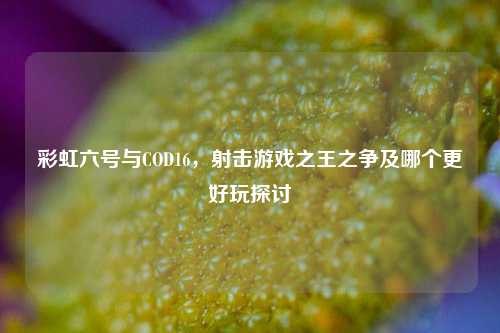 彩虹六号与COD16，射击游戏之王之争及哪个更好玩探讨