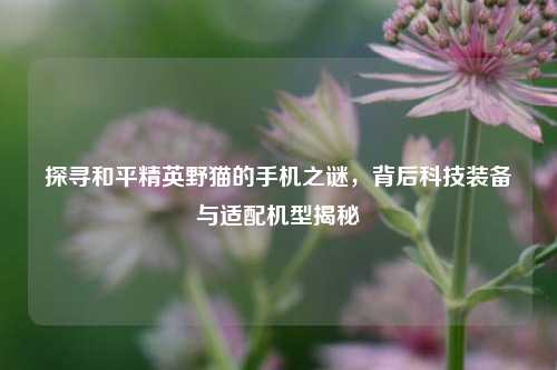 探寻和平精英野猫的手机之谜，背后科技装备与适配机型揭秘