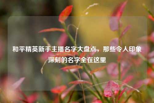 和平精英新手主播名字大盘点，那些令人印象深刻的名字全在这里
