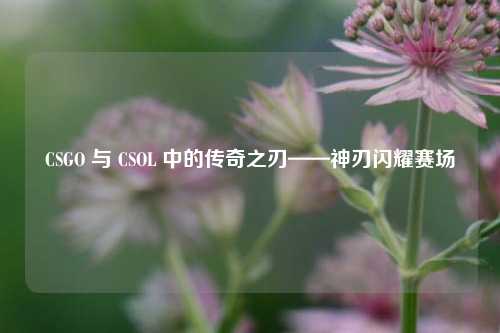 CSGO 与 CSOL 中的传奇之刃——神刃闪耀赛场