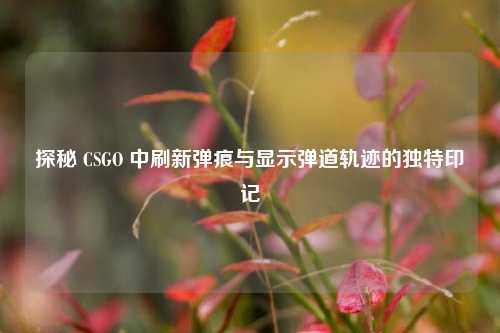 探秘 CSGO 中刷新弹痕与显示弹道轨迹的独特印记