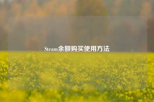 Steam余额购买使用方法