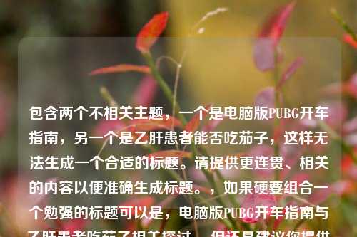 包含两个不相关主题，一个是电脑版PUBG开车指南，另一个是乙肝患者能否吃茄子，这样无法生成一个合适的标题。请提供更连贯、相关的内容以便准确生成标题。，如果硬要组合一个勉强的标题可以是，电脑版PUBG开车指南与乙肝患者吃茄子相关探讨 ，但还是建议你提供更合适的内容。