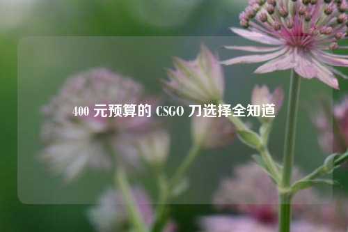 400 元预算的 CSGO 刀选择全知道