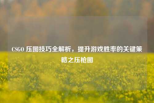 CSGO 压图技巧全解析，提升游戏胜率的关键策略之压枪图
