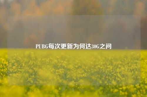 PUBG每次更新为何达30G之问