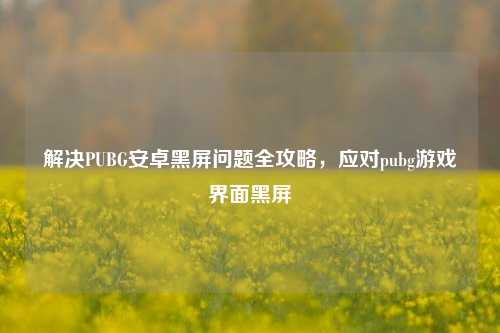 解决PUBG安卓黑屏问题全攻略,应对pubg游戏界面黑屏