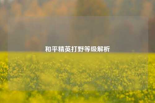 和平精英打野等级解析