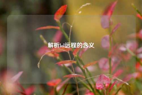 解析lol远程的含义