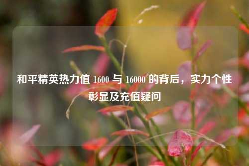 和平精英热力值 1600 与 16000 的背后,实力个性彰显及充值疑问