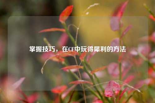 掌握技巧，在CF中玩得犀利的方法