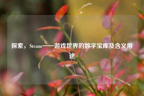 探索,Steam——游戏世界的数字宝库及含义用途