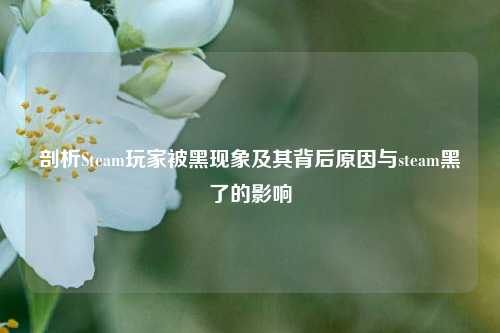 剖析Steam玩家被黑现象及其背后原因与steam黑了的影响