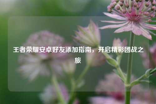 王者荣耀安卓好友添加指南,开启精彩团战之旅