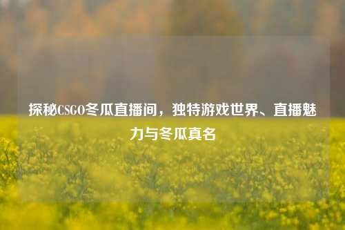 探秘CSGO冬瓜直播间，独特游戏世界、直播魅力与冬瓜真名