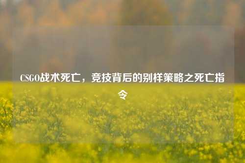CSGO战术死亡,竞技背后的别样策略之死亡指令