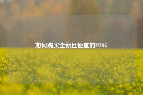 如何购买全新且便宜的PUBG