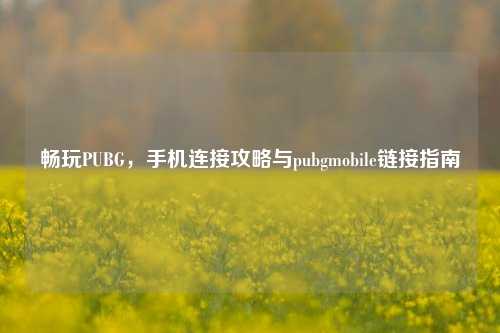 畅玩PUBG，手机连接攻略与pubgmobile链接指南