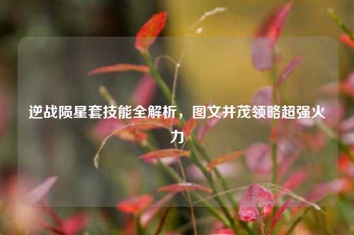 逆战陨星套技能全解析，图文并茂领略超强火力