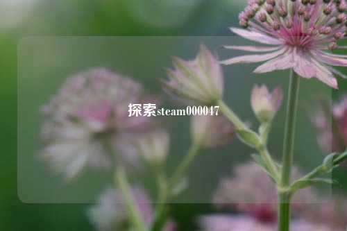 探索steam000047