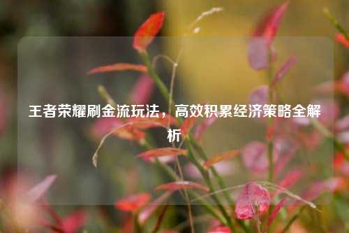 王者荣耀刷金流玩法,高效积累经济策略全解析