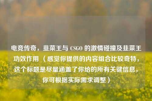 电竞传奇,韭菜王与 CSGO 的激情碰撞及韭菜王功效作用 (感觉你提供的内容组合比较奇特,这个标题是尽量涵盖了你给的所有关键信息,你可根据实际需求调整)