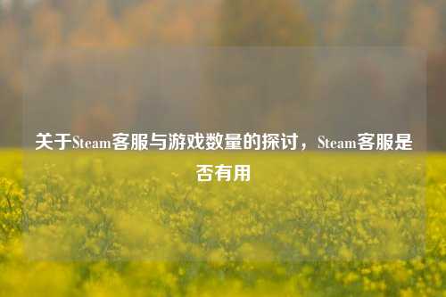 关于Steam客服与游戏数量的探讨，Steam客服是否有用